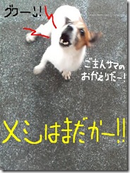 今日カズ080910　12