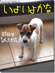 今日カズ080910　14
