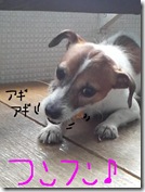 今日カズ080910　15