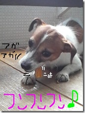 今日カズ080910　16