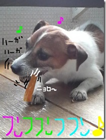 今日カズ080910　17