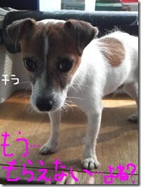 今日カズ080910　18