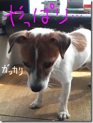 今日カズ080910　19