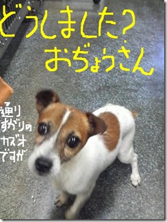 今日カズ080912　1