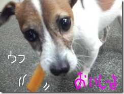 今日カズ080912　2