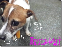 今日カズ080912　3
