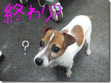 今日カズ080912　4