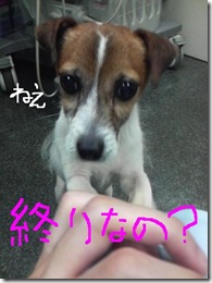 今日カズ080912　5