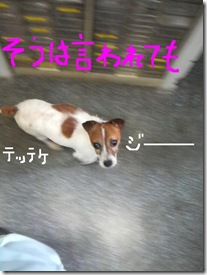 今日カズ080912　7