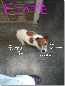 今日カズ080912　8