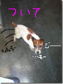 今日カズ080912　9