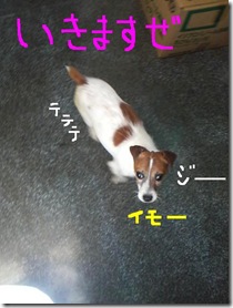 今日カズ080912　10