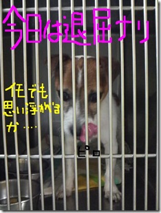 今日カズ080913　1