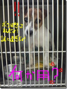 今日カズ080913　2