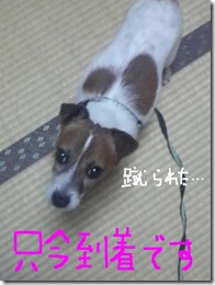 今日カズ080914　3