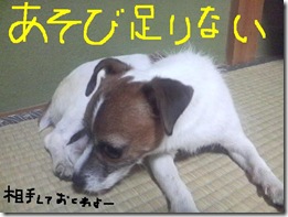 今日カズ080914　5