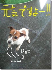 今日カズ080916　1