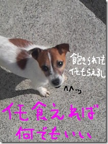 今日カズ080916　3