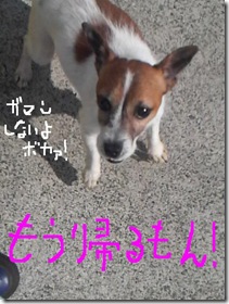 今日カズ080916　4