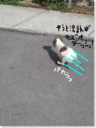 今日カズ080916　5