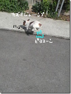 今日カズ080916　6
