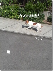 今日カズ080916　7