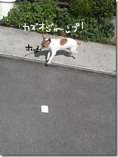 今日カズ080916　8