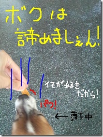 今日カズ080916　12