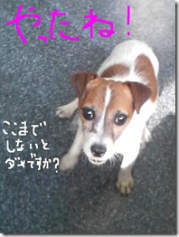 今日カズ080916　13