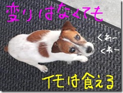 今日カズ080917　1