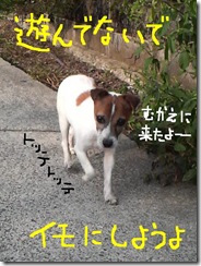今日カズ080917　2