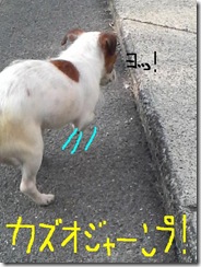 今日カズ080917　3