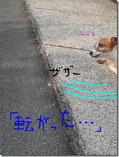 今日カズ080917　5