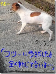 今日カズ080917　6