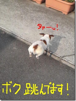 今日カズ080917　11