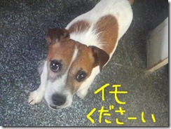 今日カズ080919　2