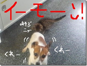 今日カズ080919　4