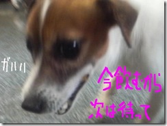 今日カズ080919　7