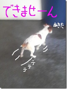 今日カズ080919　10