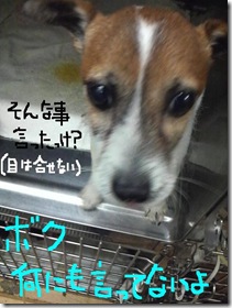 今日カズ080922　3