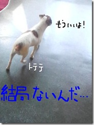 今日カズ080923　3