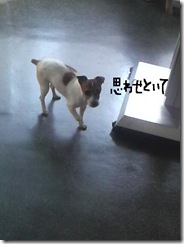 今日カズ080923　5