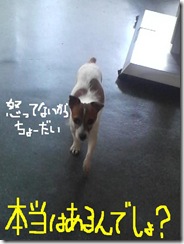 今日カズ080923　6