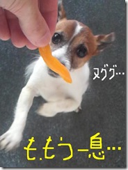 今日カズ080923　8