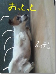 今日カズ080923　9
