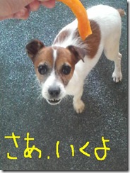 今日カズ080923　11