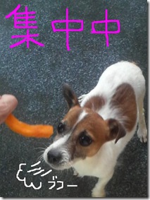 今日カズ080923　12