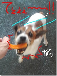 今日カズ080923　13