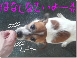今日カズ080923　14
