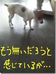 今日カズ080923　15